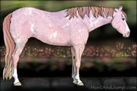 Horse Color:Painted White Spotted Perlino Ice Splash 