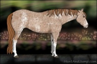 Horse Color:White Spotted Chestnut Ice 