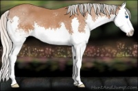 Horse Color:White Spotted Silver Bay Splash