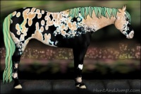 Horse Color:Painted White Spotted Chestnut Ice Appaloosa 
