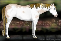 Horse Color:Painted White Spotted Amber Champagne Ice Roan Splash Frame 