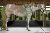 Horse Color:Liver Red Dun Ice Roan 