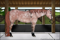 Horse Color:White Spotted Liver Red Dun Ice Sabino 