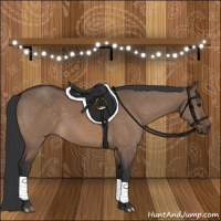 Horse Color:Brown Dun