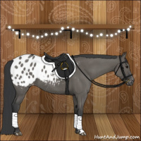 Horse Color:Grullo Appaloosa Brindle