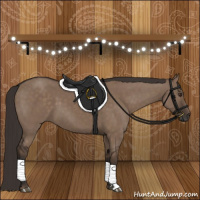 Horse Color:Liver Red Dun 