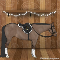 Horse Color:Liver Red Dun Brindle 