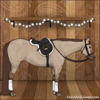 Horse Color:Liver Red Dun Brindle