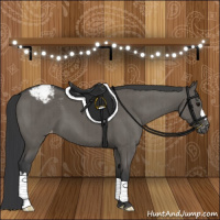Horse Color:Grullo Appaloosa Brindle 