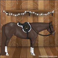 Horse Color:Liver Chestnut Appaloosa 