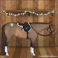 Horse Color:Brown Dun Varnish 