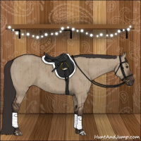 Horse Color:Liver Red Dun Brindle 