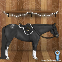 Horse Color:Liver Chestnut Appaloosa 