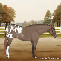 Horse Color:Liver Red Dun Blanket Brindle 