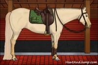 Horse Color:Palomino Dun 