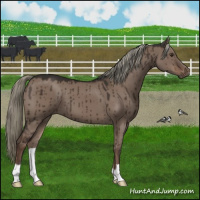 Horse Color:Liver Red Dun Mushroom Brindle