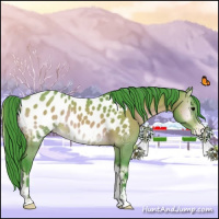 Horse Color:Watercolor Bay Onyx Near Leopard 