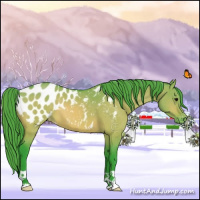 Horse Color:Watercolor Bay Dun Appaloosa Brindle