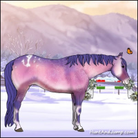 Horse Color:Watercolor Bay Onyx Appaloosa