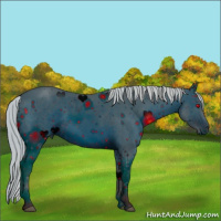 Horse Color:ERROR: UNKNOWN ANOMALY