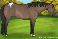 Horse Color:Brown Dun Varnish Brindle 