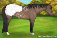 Horse Color:Brown Dun Snowcap Brindle