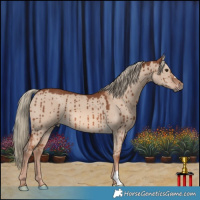Horse Color:Red Dun Mushroom Brindle 