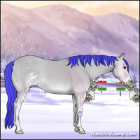 Horse Color:Watercolor Buckskin Onyx Sabino Brindle