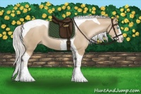Horse Color:Chocolate Palomino Pearl Splash Tobiano