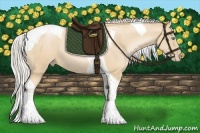 Horse Color:Palomino Pearl Tobiano