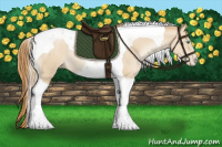 Horse Color:Smoky Black Pearl Tobiano