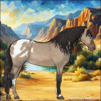 Horse Color:Bay Dun Appaloosa Brindle 