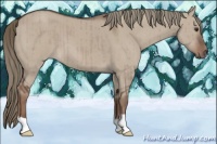 Horse Color:Liver Red Dun Mushroom Brindle 