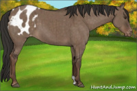 Horse Color:Liver Red Dun Blanket Brindle 