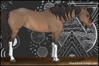 Horse Color:Bay Dun Varnish Brindle 