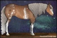 Horse Color:White Spotted Silver Buckskin