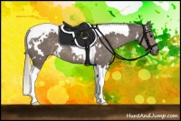 Horse Color:White Spotted Silver Black Tobiano 