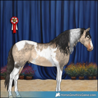 Horse Color:White Spotted Bay Dun Tobiano
