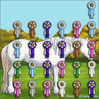 Horse Color:Bay Tobiano Appaloosa 