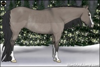 Horse Color:Grullo Sabino Rabicano