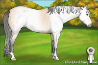 Horse Color:Gray Buckskin Dun Rabicano