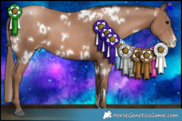 Horse Color:White Spotted Black Pearl 