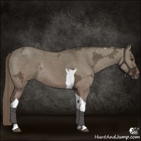 Horse Color:Liver Red Dun Ice Tobiano Rabicano 