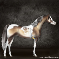 Horse Color:Liver Red Onyx Sabino Splash Tobiano 