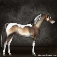 Horse Color:Liver Red Onyx Tobiano 