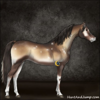 Horse Color:White Spotted Liver Red Onyx 