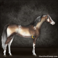 Horse Color:White Spotted Liver Red Onyx Splash 