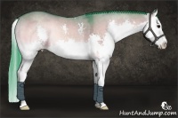 Horse Color:Watercolor Brown Onyx Sabino Splash 