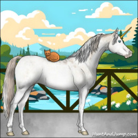 Horse Color:White Spotted Chocolate Palomino Ice Pearl Onyx Mushroom Sabino Rabicano Brindle 