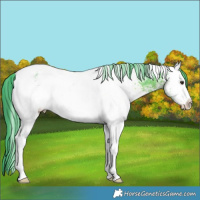 Horse Color:Watercolor White Spotted Liver Chestnut Tobiano 